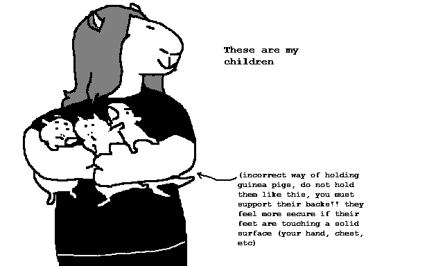 'These are my children' '(incorrect way of holding guinea pigs, do not hold them like this, you must support their backs!! they feel more secure if their feet are touching a solid surface (your hand, chest, etc)'